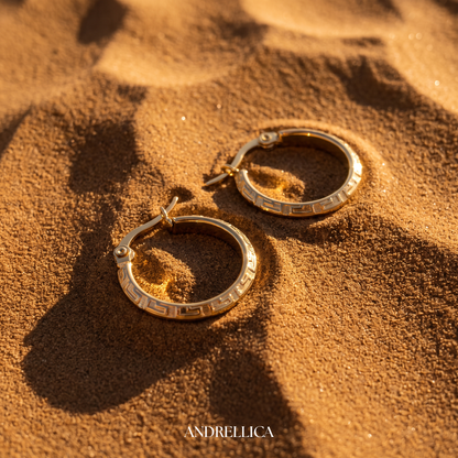 Earrings 13
